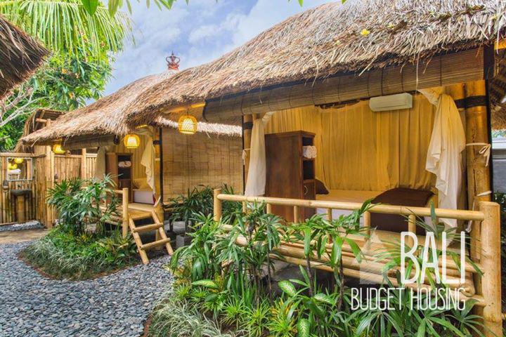 Deluxe Room for Rent in Canggu - Bali Long Term Rentals - houses and apartments in Bali Budget 