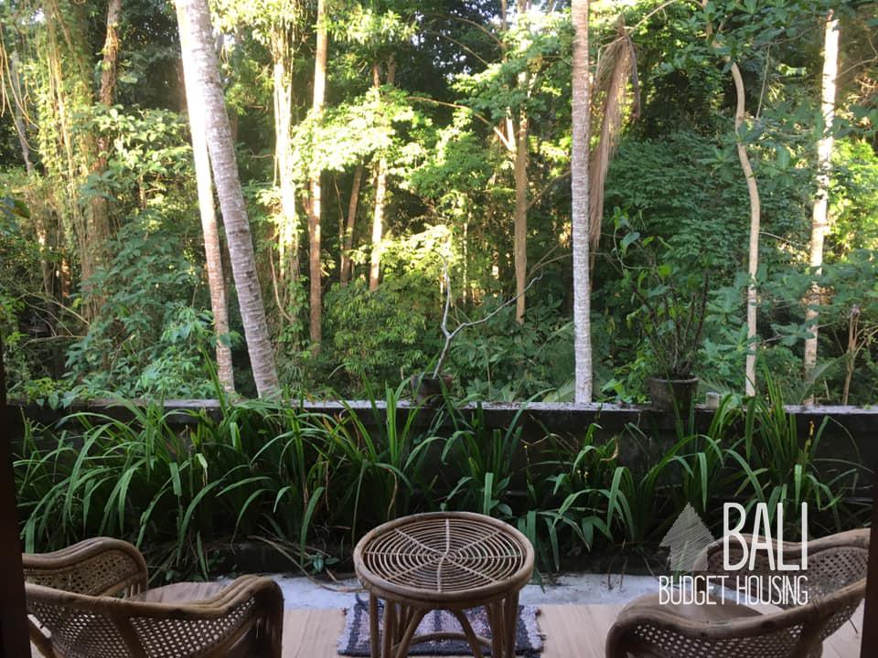 One Bedroom House For Rent In Ubud Bali Long Term Rentals